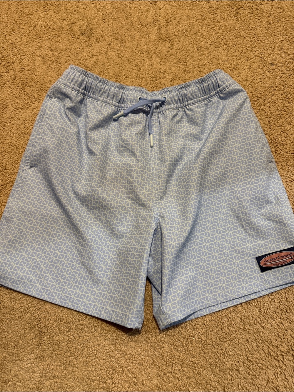 Vineyard Vines Kids Light Blue Pattern Swim Trunks